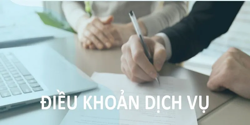 Tổng quan về điều khoản dịch vụ